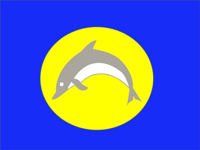 File:Joe flag.jpg