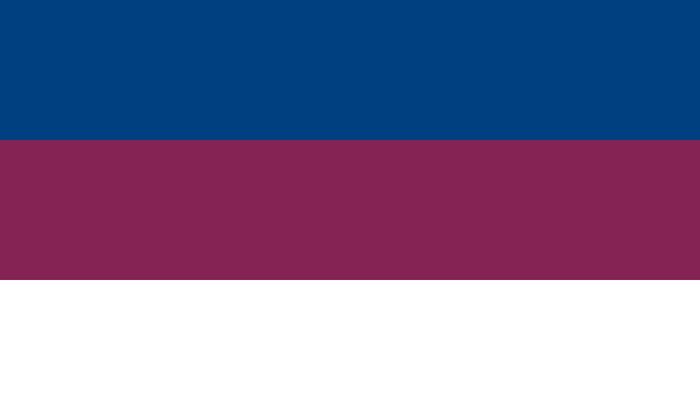 File:Slobodarskaflag.png
