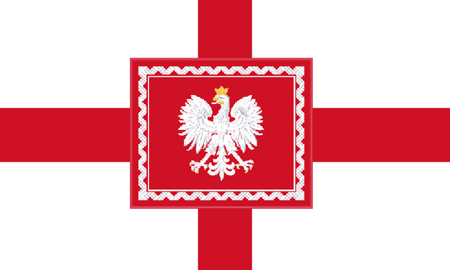 File:Domese Flag.png