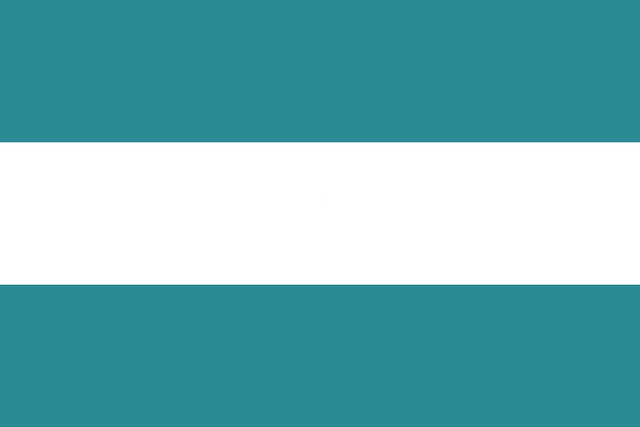 File:Kasimoviablankflag.png