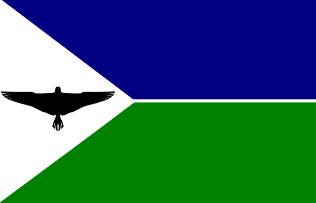 File:New Flag of Ocala.png