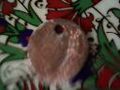Thumbnail for version as of 14:56, February 21, 2013