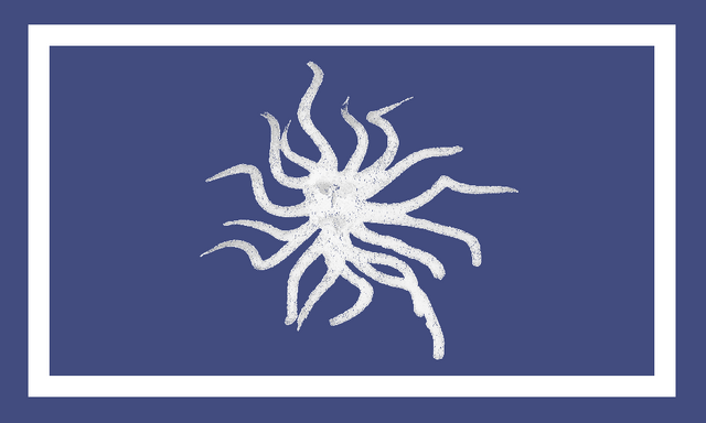 Soubor:Niyi.png