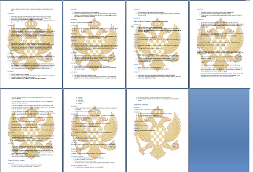 Constititution2
