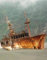 Kinei-Maru-10-Denham-Bay