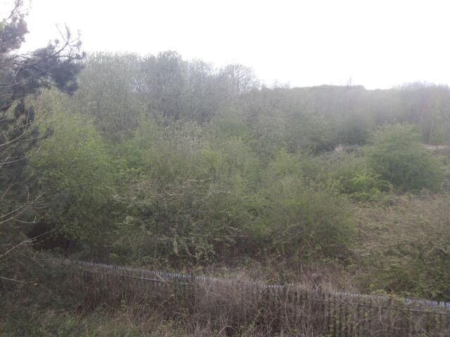 File:464779 2935953643192 1451721735 o.jpg