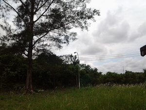 File:Photo0030.jpg
