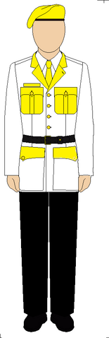 File:Uniformguard.png