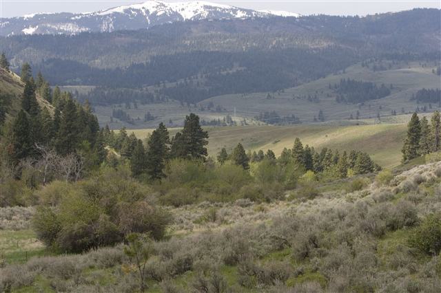 File:Weiser Republic.jpg