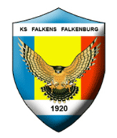 Falkens