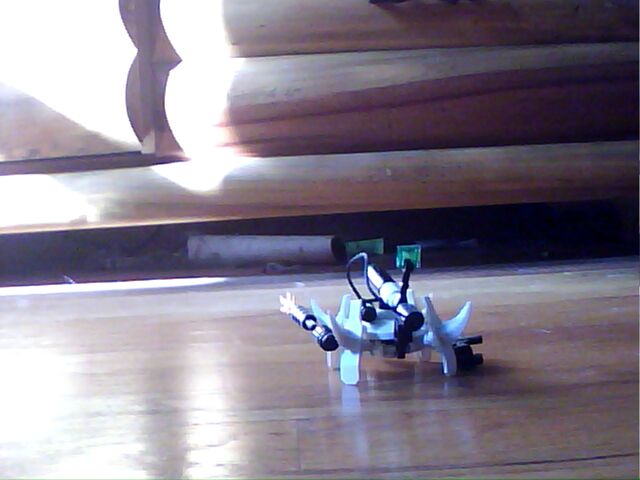 File:Roboturtle 02.jpg