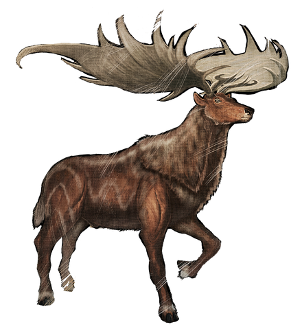 File:Render Megaloceros.png