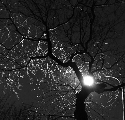 File:BTS Spooky night.jpg