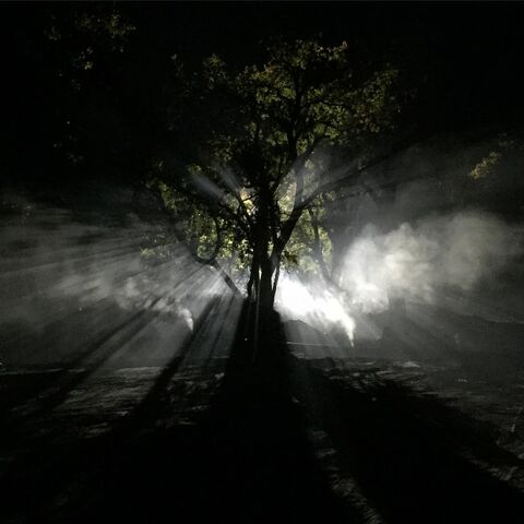 File:BTS Night Forest.jpg