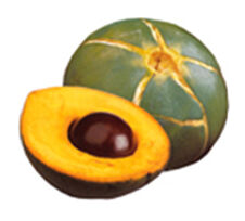 Lucuma.jpg