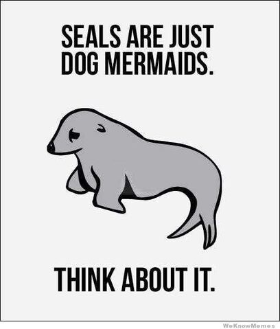 File:Seals-are-just-dog-mermaids.jpg