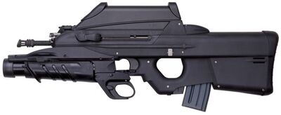 Fn f2000 3