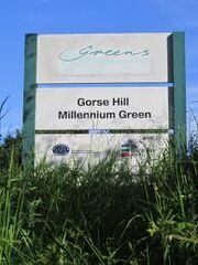 Gorse Hill
