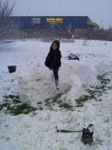 File:Snow Dragon.jpg