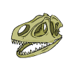 Dinosaur skull