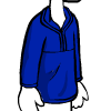 Blue Pullover