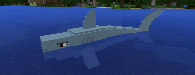 File:Shark.jpeg