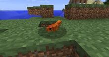 Images (1)