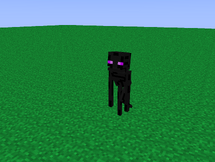 WIMcTp2