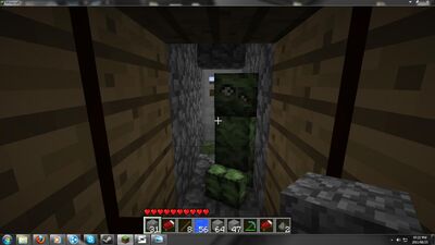 Pet creeper