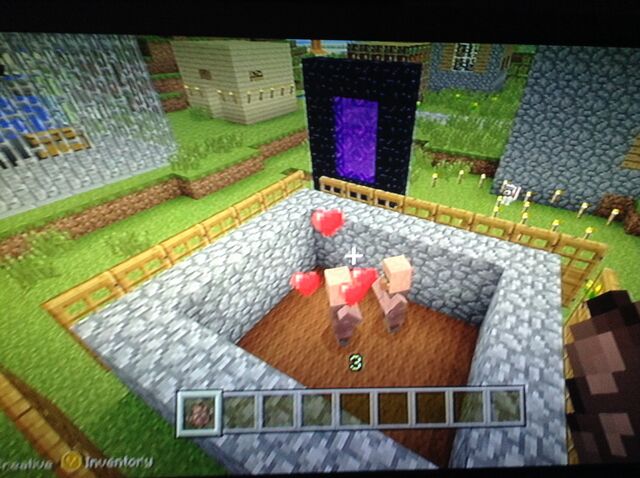 File:IHow to breed villagers.jpg