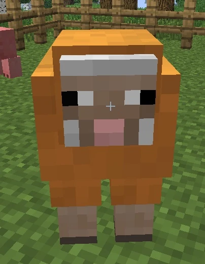 Image - Orange sheep.jpg  Minecraft Wiki  FANDOM powered 