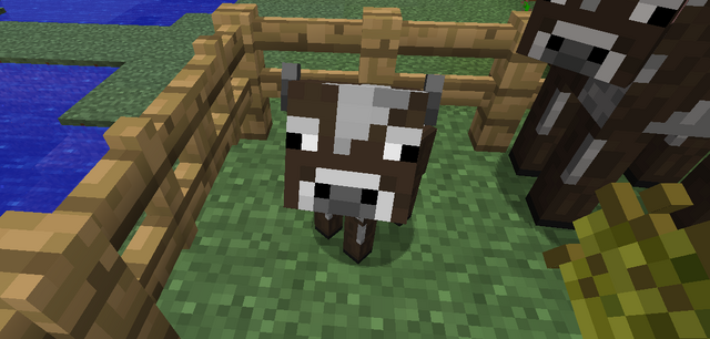 File:Pewf.png
