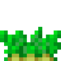 PerunaKasvi.png