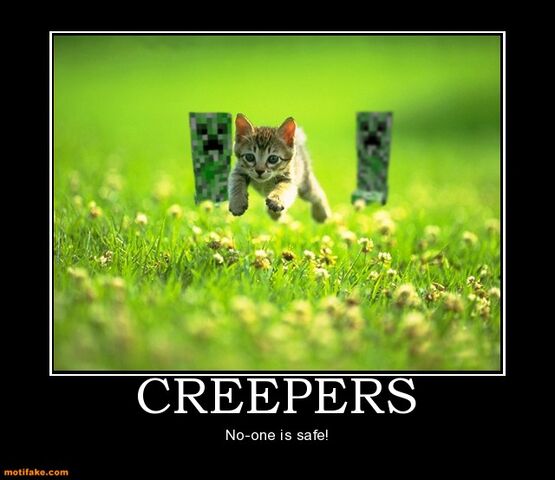 File:Creepers-minecraft-creeper-cat-boom-demotivational-posters-1296392280.jpg