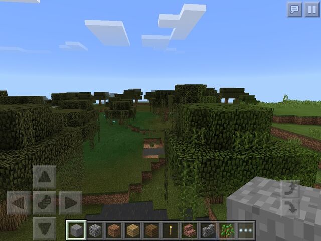 File:Swamp biome.jpg