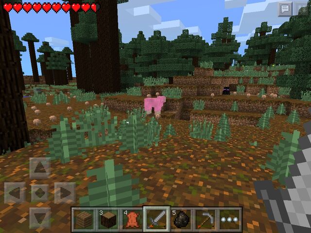 File:NaturalPinkSheepPE.jpg
