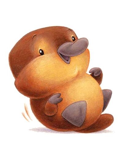 File:Cute platypus.jpg
