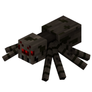 Araignée