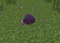 Thumbnail for version as of 06:22, April 28, 2015
