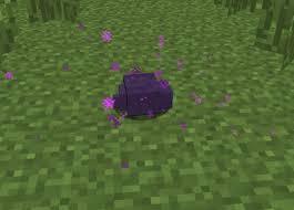 File:Endermite looked.jpg