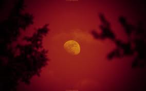 File:Red Moon.jpg