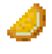 Canteloupe Slice