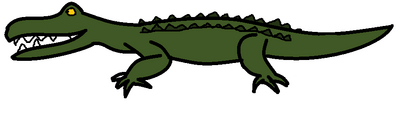 Alligator