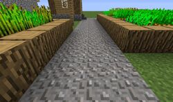 Camino.jpg