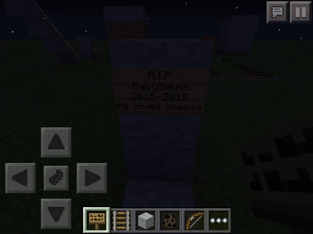 File:R.I.P baby squid.jpg