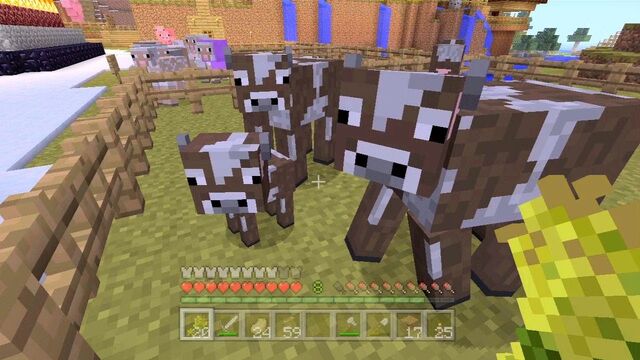 File:Cowssssssss.jpg
