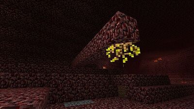 Glowstone seed