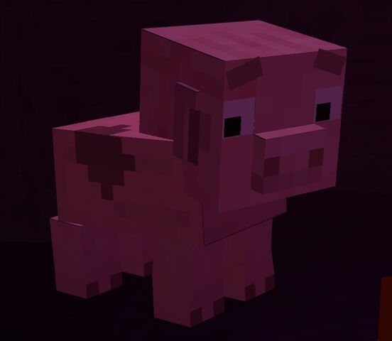 File:Imageroobenisscared.jpg