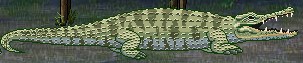 File:Crocodile.jpeg