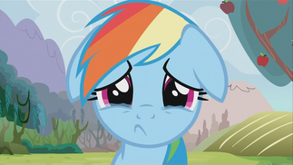 Dashie.png